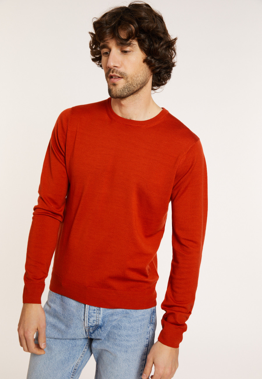 Pullover mit Rundhalsausschnitt und Logo aus Merinowolle - Eddie