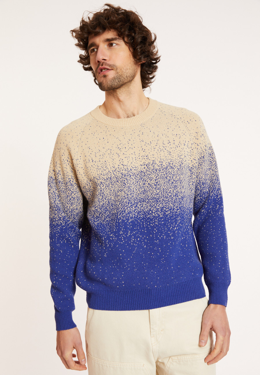 Zweifarbiger Pullover aus gebürsteter Baumwolle - Doryan