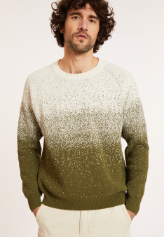 Zweifarbiger Pullover aus gebürsteter Baumwolle - Doryan