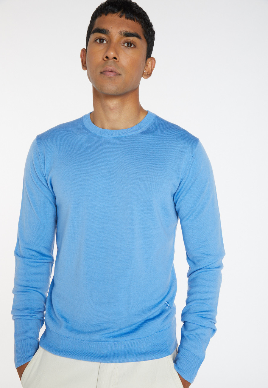Pullover mit Rundhalsausschnitt und Logo aus Merinowolle - Eddie