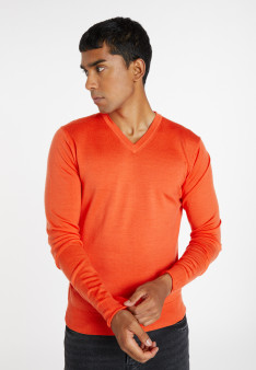 Pullover mit V-Ausschnitt und Logo aus Merinowolle - Elmo