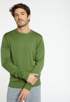Pullover mit Rundhalsausschnitt und Logo aus Merinowolle - Eddie