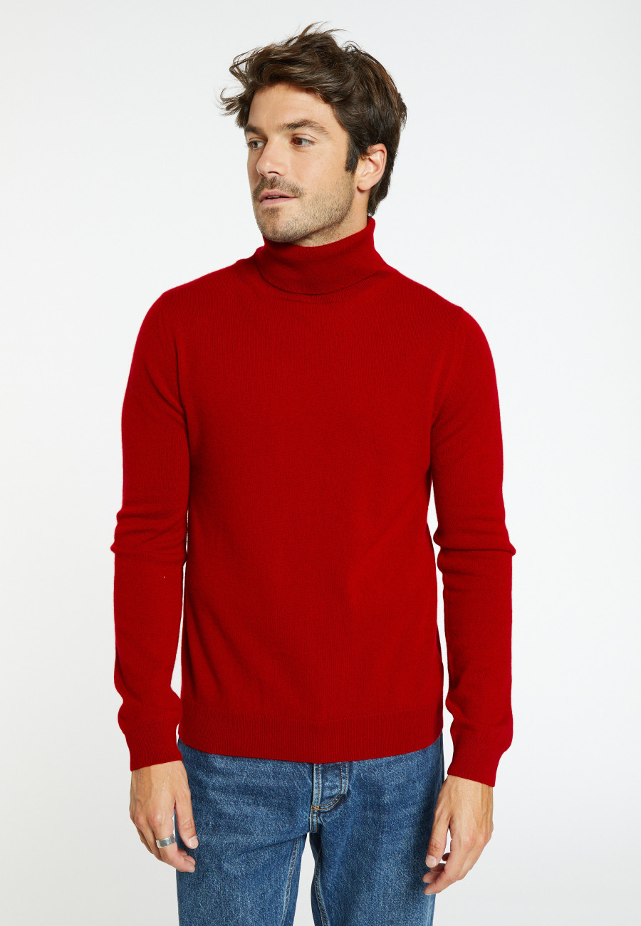 Rollkragenpullover aus Kaschmir - Eduardo