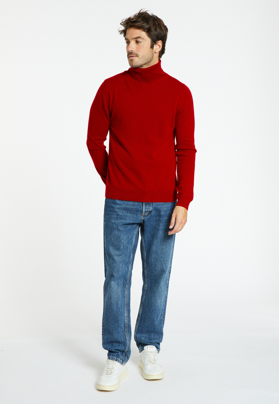 Rollkragenpullover aus Kaschmir - Eduardo