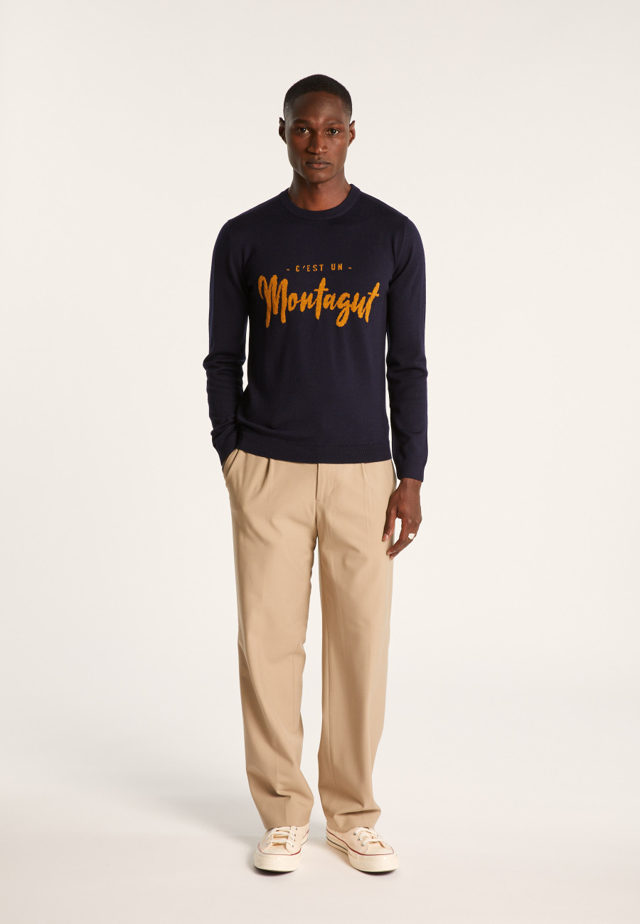 Merino wool sweater - Lion